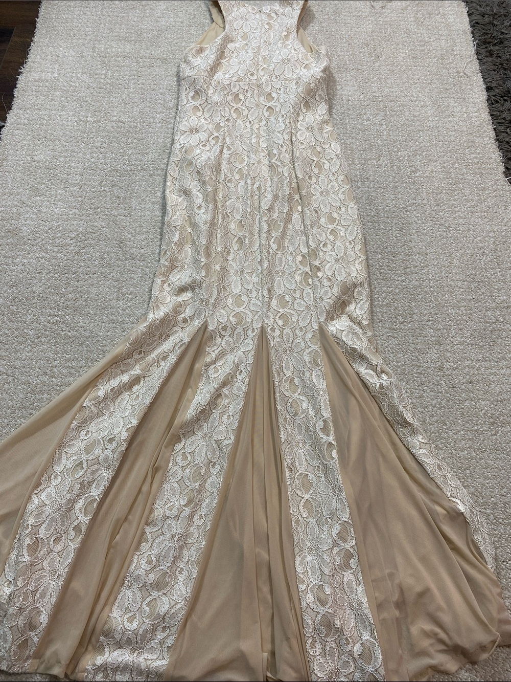Cachet Beaded Halter Lace Maxi Gown in Ivory and Blush Size 2 - Picture 15 of 15